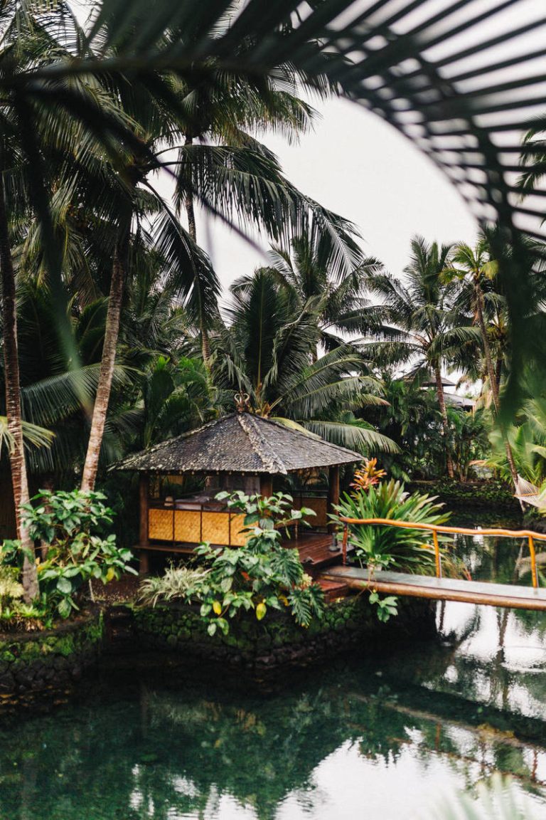 Simple Ways to Reduce Pet Care Expenses and Save Money